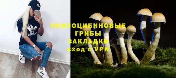 герыч Алексин