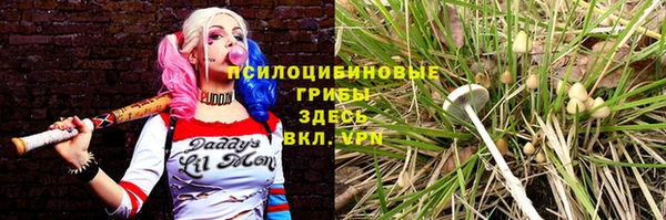 прущая мука Алзамай