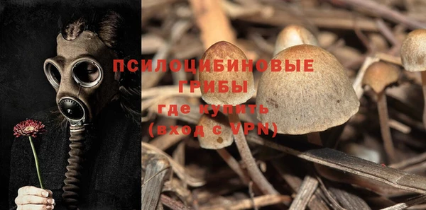 герыч Алексин