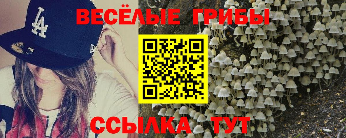 Псилоцибиновые грибы ЛСД  Вход с VPN  Кандалакша 