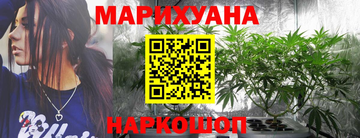 МАРИХУАНА семена Кандалакша
